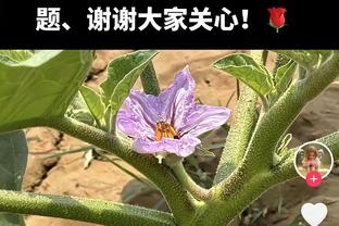 詹眉均三节打卡！里夫斯：他俩每天都为球队奉献很多 能休息很棒